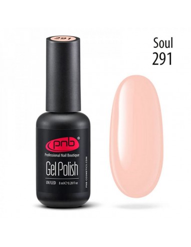 PNB Esmalte semipermanente - 291 Soul...