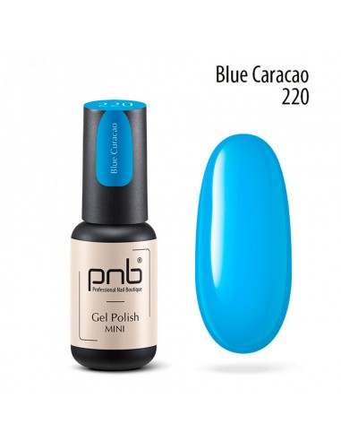 PNB Esmalte semipermanente mini - 220...